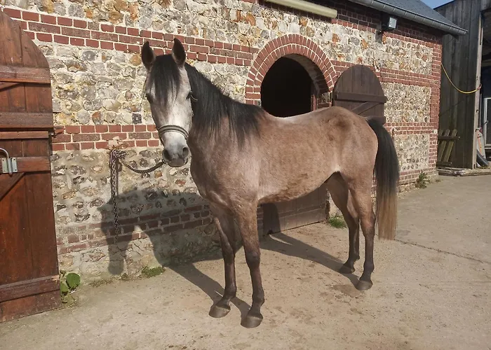 Villa La Grange D'armand