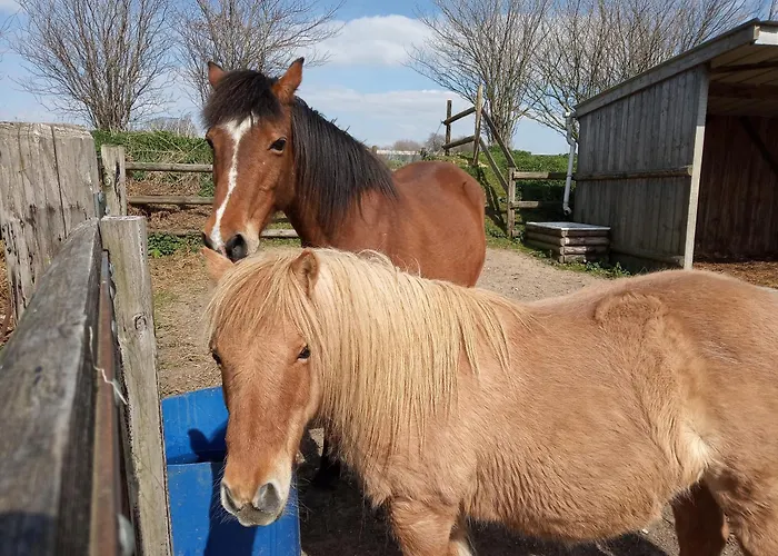 La Grange D'armand * Mentheville